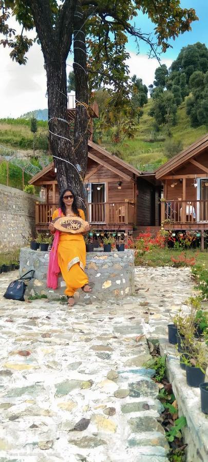Vanprastha Resorts Dwarahat Екстер'єр фото