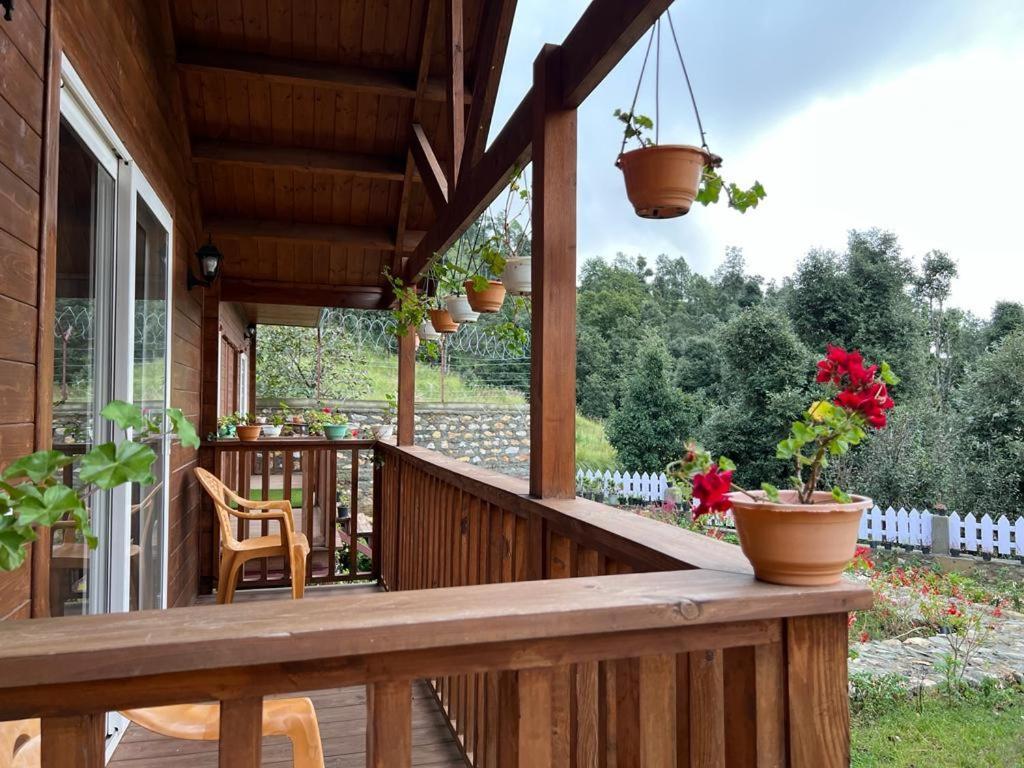 Vanprastha Resorts Dwarahat Екстер'єр фото